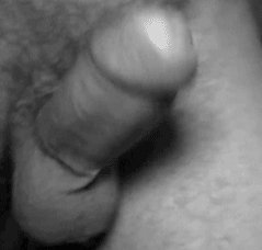 Cock Galore G Oie Sqc Porn Gif