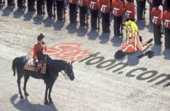 Cartoon Gifs Mm Porn Gif