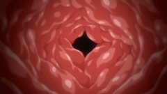 Big Tits Anime Babes Toripuru Ecchi  Porn Gif