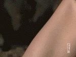 Gifs Of All Kinds Part  Porn Gif