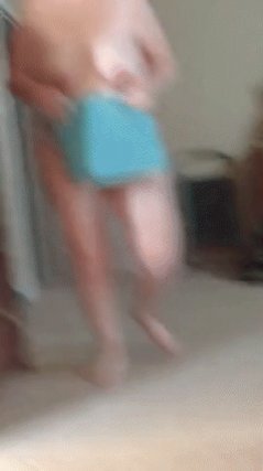 the wife Porn Gif