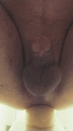 Dildo pleasing my ass Porn Gif