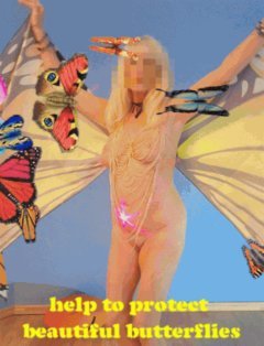 butterflies help nude boobs dance Porn Gif